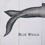 Blue Whale by Mercana Studio a Hand Embellished Textured Canvas by Mercana at Eve Furniture