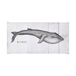 Blue Whale by Mercana Studio a Hand Embellished Textured Canvas by Mercana at Eve Furniture