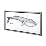 Blue Whale by Mercana Studio a Hand Embellished Textured Framed Art Print by Mercana at Eve Furniture