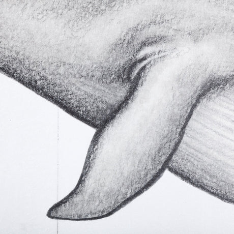 Blue Whale by Mercana Studio a Hand Embellished Textured Framed Art Print by Mercana at Eve Furniture