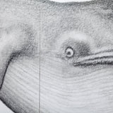 Blue Whale by Mercana Studio a Hand Embellished Textured Framed Art Print by Mercana at Eve Furniture