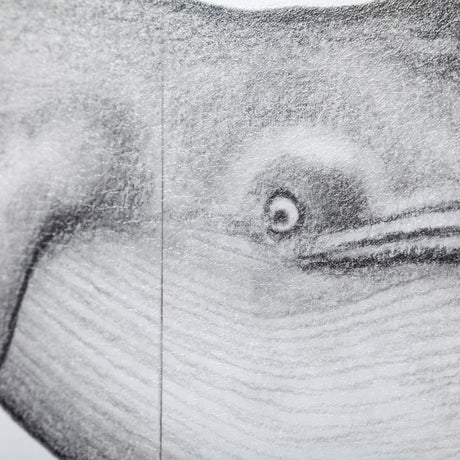 Blue Whale by Mercana Studio a Hand Embellished Textured Framed Art Print by Mercana at Eve Furniture