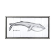 Blue Whale by Mercana Studio a Hand Embellished Textured Framed Art Print by Mercana at Eve Furniture