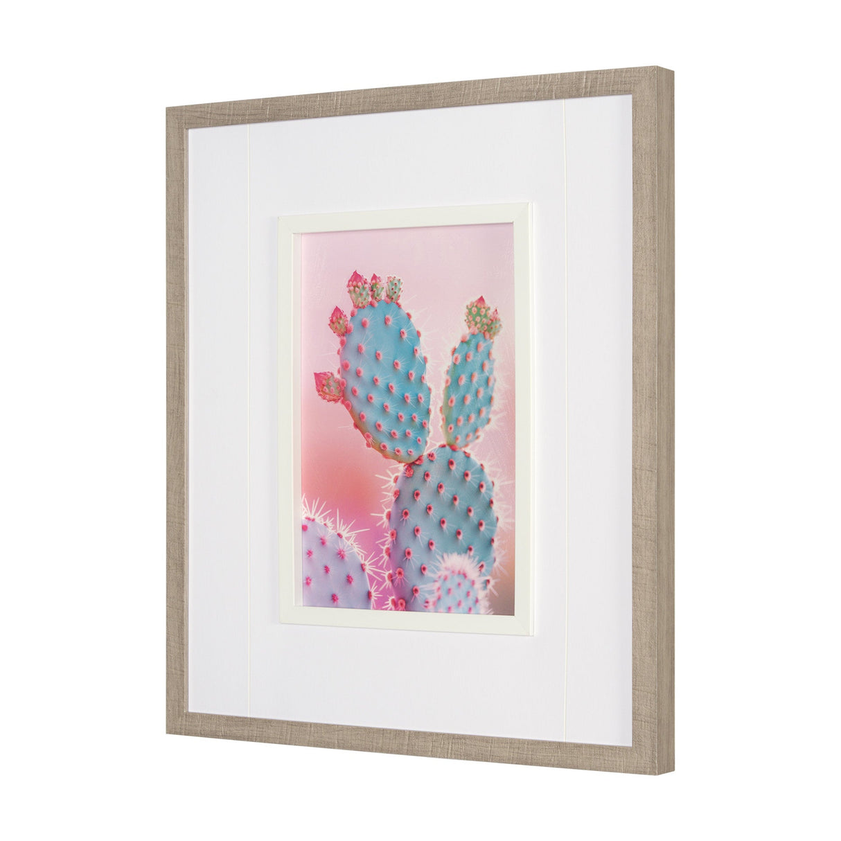 Blush Botanicals - Spines by Philippe Hugonnard a Hand Embellished Framed Photo Art Print Matted und by Mercana at Eve Furniture
