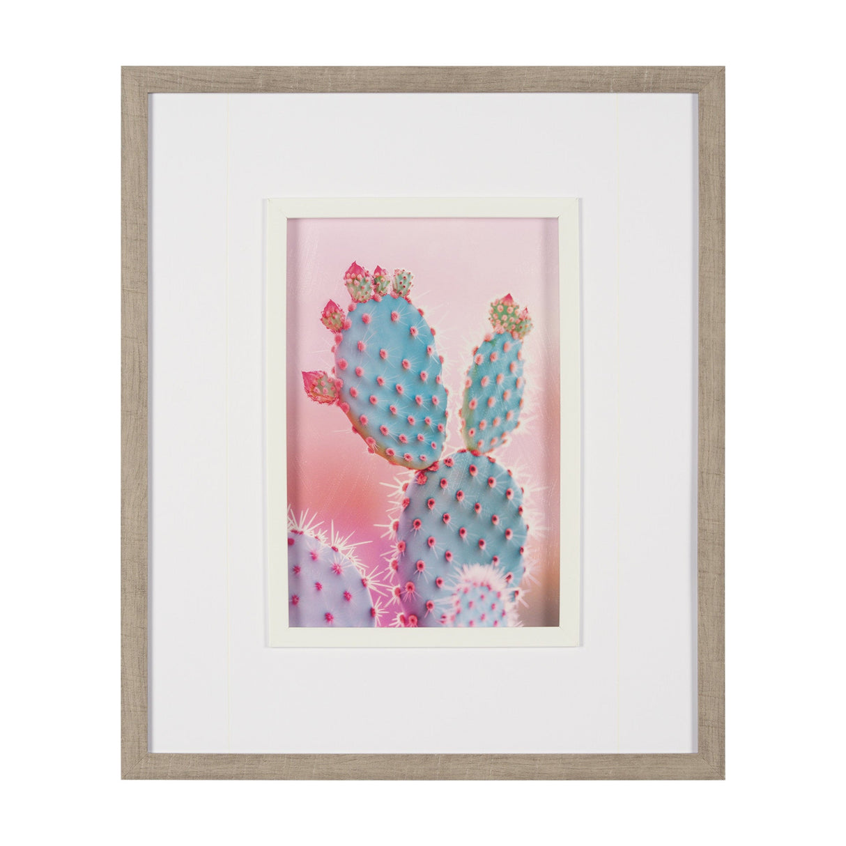 Blush Botanicals - Spines by Philippe Hugonnard a Hand Embellished Framed Photo Art Print Matted und by Mercana at Eve Furniture