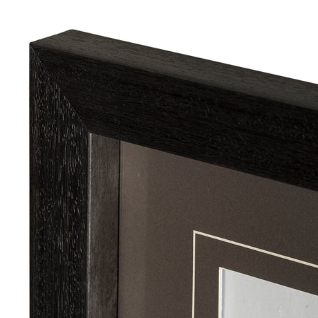 Boabab Tree I by Tiedge a Framed Art Print Matted under Glass by Mercana at Eve Furniture
