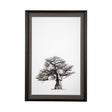 Boabab Tree I by Tiedge a Framed Art Print Matted under Glass by Mercana at Eve Furniture