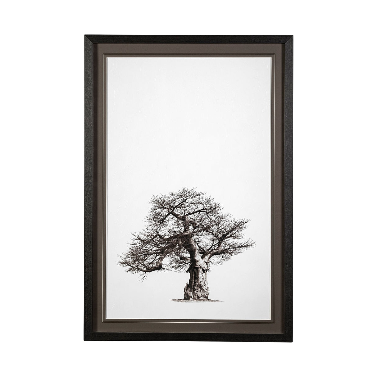 Boabab Tree I by Tiedge a Framed Art Print Matted under Glass by Mercana at Eve Furniture