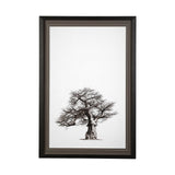 Boabab Tree I by Tiedge a Framed Art Print Matted under Glass by Mercana at Eve Furniture