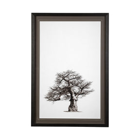 Boabab Tree I by Tiedge a Framed Art Print Matted under Glass by Mercana at Eve Furniture