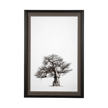 Boabab Tree I by Tiedge a Framed Art Print Matted under Glass by Mercana at Eve Furniture