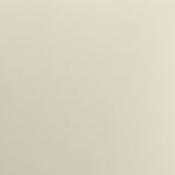 Bobbie Cream Vegan Leather Dining Chair by TOV Furniture at Eve Furniture