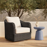 Bodhi Charcoal Outdoor Swivel Accent Chair by MOES at Eve Furniture