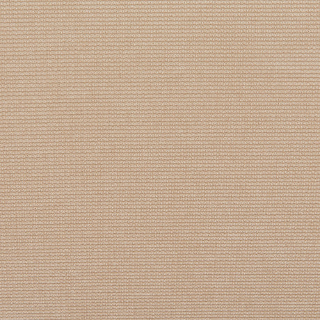 Boet Taupe Loveseat by Zuomod at Eve Furniture