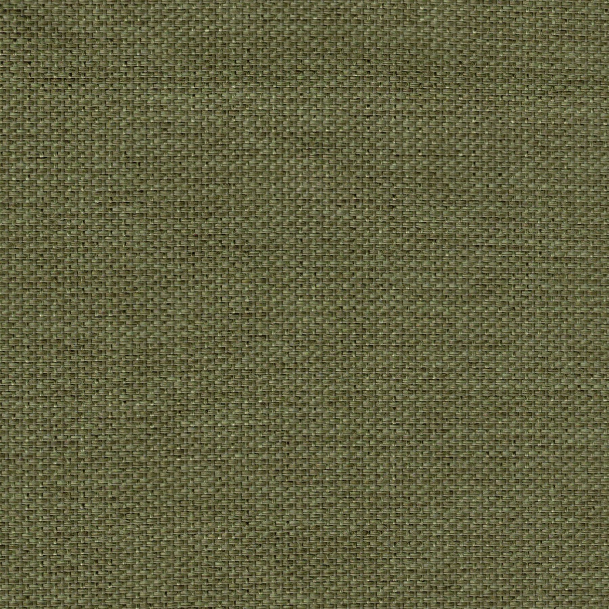 Boise Hanging Chair Green by Zuomod at Eve Furniture
