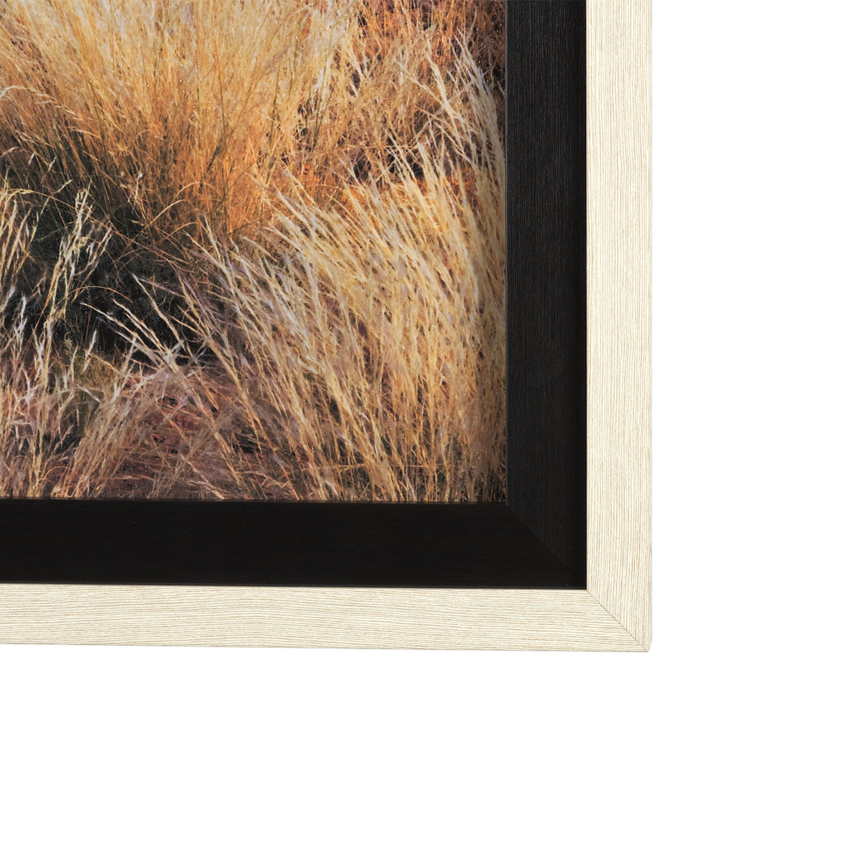 Bold Adventure by Mercana Studio a Hand Embellished Textured Framed Art Photo Matted under Glass by Mercana at Eve Furniture