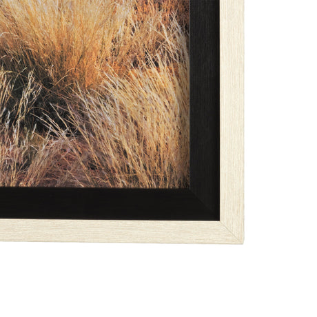 Bold Adventure by Mercana Studio a Hand Embellished Textured Framed Art Photo Matted under Glass by Mercana at Eve Furniture