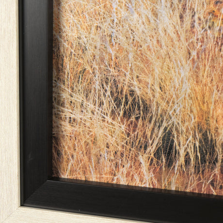 Bold Adventure by Mercana Studio a Hand Embellished Textured Framed Art Photo Matted under Glass by Mercana at Eve Furniture