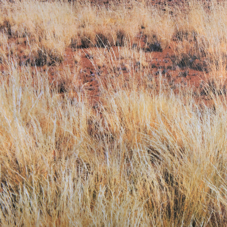 Bold Adventure by Mercana Studio a Hand Embellished Textured Framed Art Photo Matted under Glass by Mercana at Eve Furniture