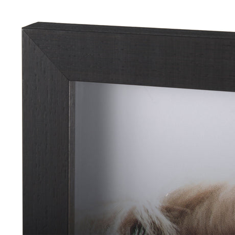 Bold Equine - Run by Mercana Studio a Hand Embellished Textured Framed Photo Art Print Matted under by Mercana at Eve Furniture
