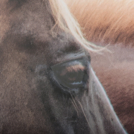 Bold Equine - Run by Mercana Studio a Hand Embellished Textured Framed Photo Art Print Matted under by Mercana at Eve Furniture