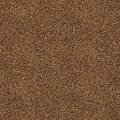 Caramel Leather Sofa