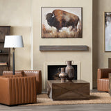Bolting Bison Brown/Tan Canvas by Crestview at Eve Furniture