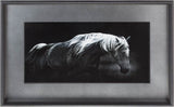 Bonnie Portrait by PHBurchett a Framed Photo Art Print Matted under Glass by Mercana at Eve Furniture