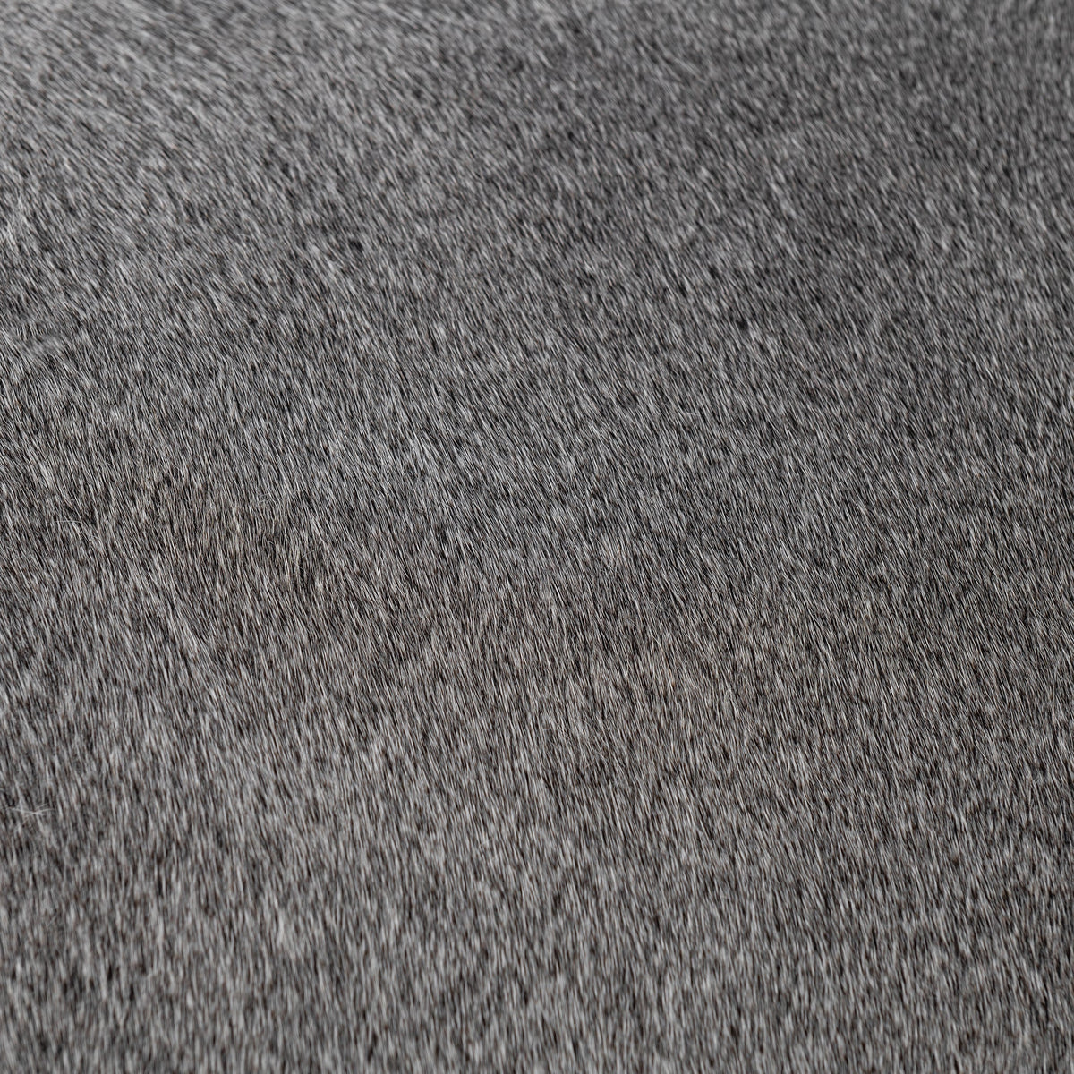 Bose Sparrow Gray Counter Stool by Classic Home at Eve Furniture