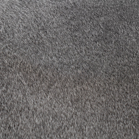 Bose Sparrow Gray Counter Stool by Classic Home at Eve Furniture