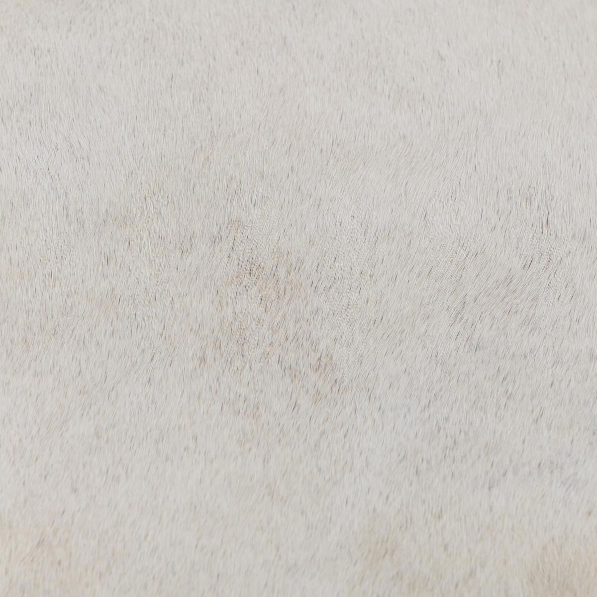 Bose Counter Stool - Dusty Cream by Classic Home at Eve Furniture