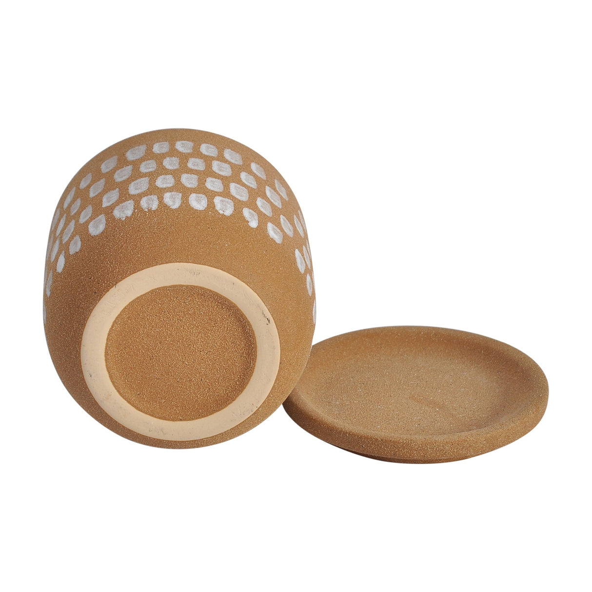 Botanical Natural Planter by MOES at Eve Furniture