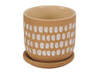 Botanical Natural Planter by MOES at Eve Furniture