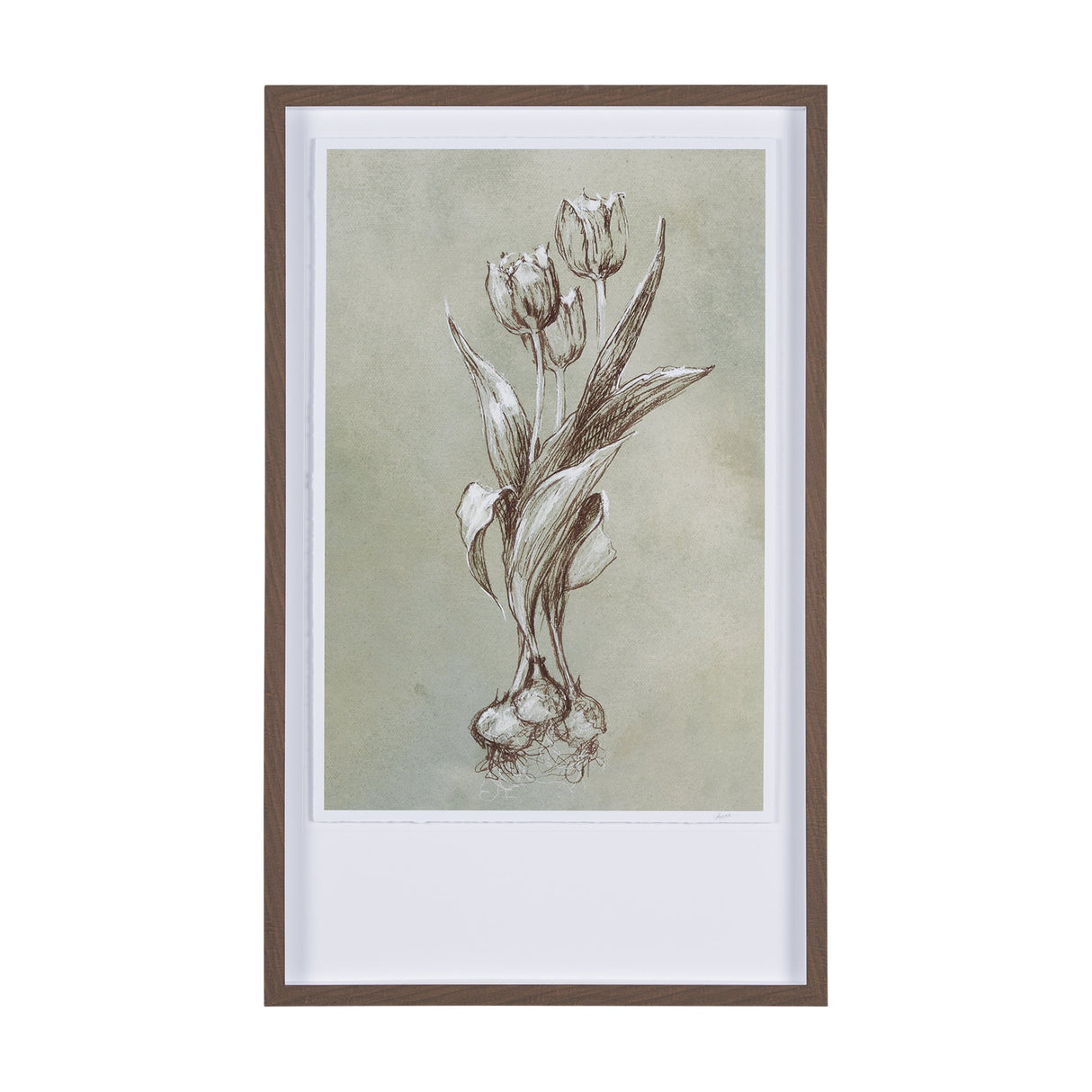 Botanical Sketch I (green) by Mercana Studio Hand Embellished Framed Art Print Matted under Glass by Mercana at Eve Furniture