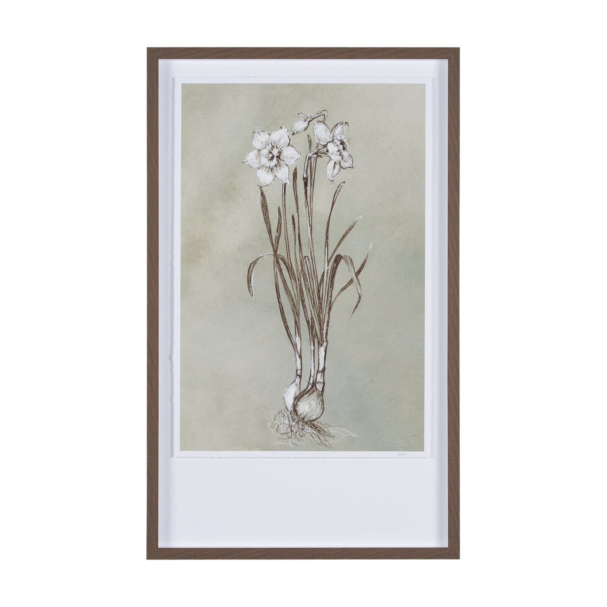 Botanical Sketch II (green) by Mercana Studio Hand Embellished Framed Art Print Matted under Glass by Mercana at Eve Furniture