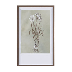 Botanical Sketch II (green) by Mercana Studio Hand Embellished Framed Art Print Matted under Glass by Mercana at Eve Furniture