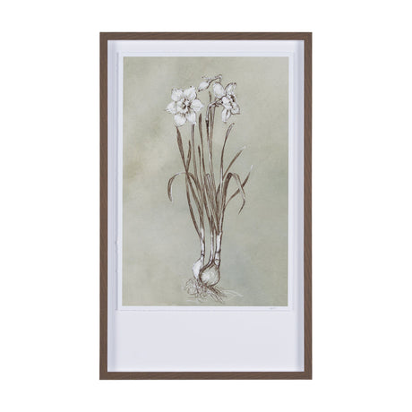 Botanical Sketch II (green) by Mercana Studio Hand Embellished Framed Art Print Matted under Glass by Mercana at Eve Furniture