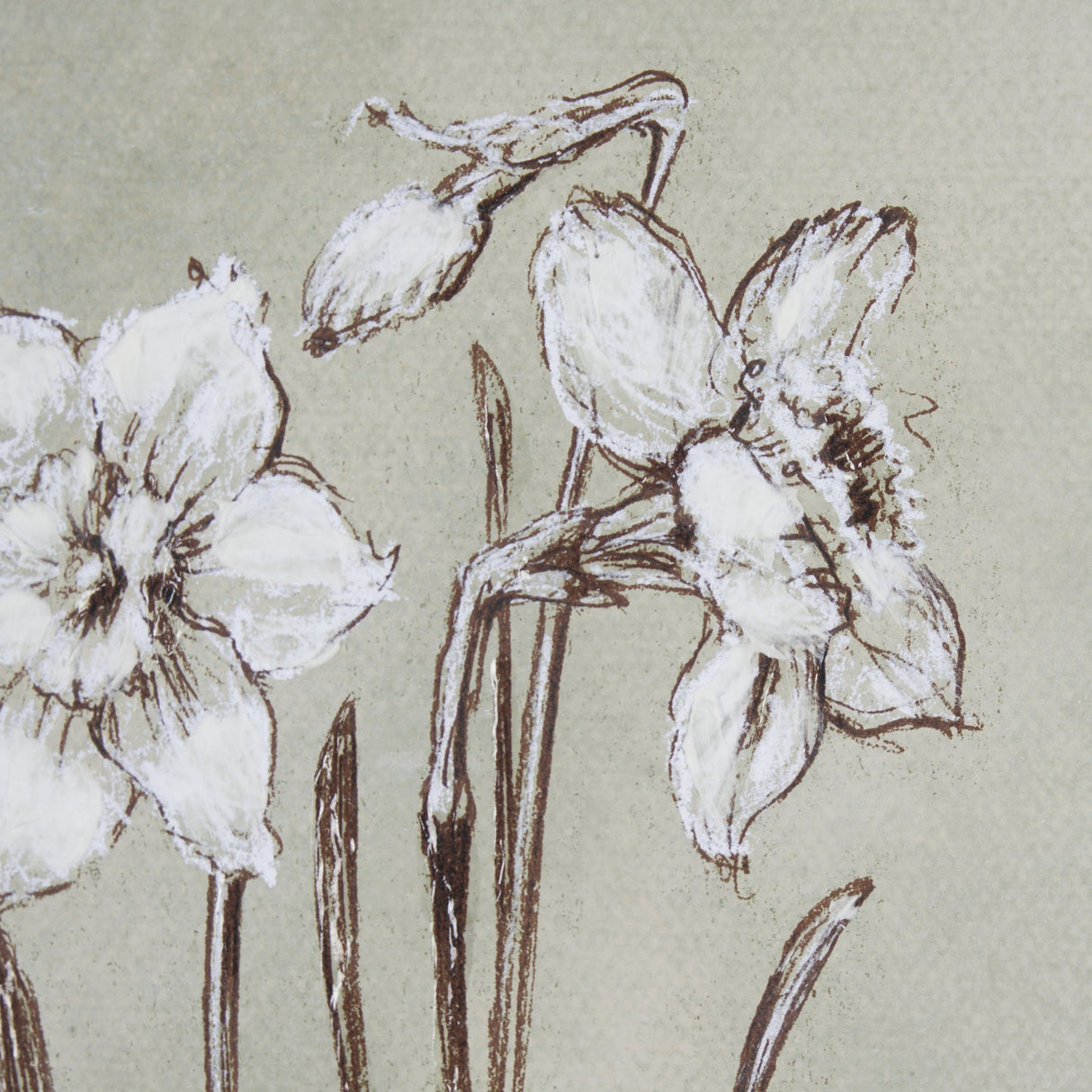 Botanical Sketch IV (green) by Mercana Studio Hand Embellished Framed Art Print Matted under Glass by Mercana at Eve Furniture