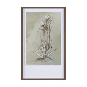 Botanical Sketch IV (green) by Mercana Studio Hand Embellished Framed Art Print Matted under Glass by Mercana at Eve Furniture