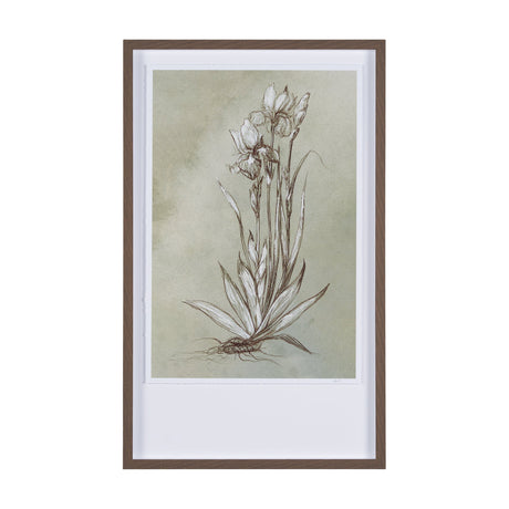 Botanical Sketch IV (green) by Mercana Studio Hand Embellished Framed Art Print Matted under Glass by Mercana at Eve Furniture