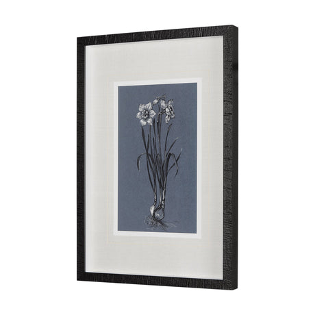 Botanical sketches I (Blue) by Mercana Studio Hand Embellished Framed Art Print Matted under Glass by Mercana at Eve Furniture