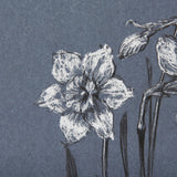 Botanical sketches I (Blue) by Mercana Studio Hand Embellished Framed Art Print Matted under Glass by Mercana at Eve Furniture