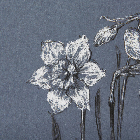 Botanical sketches I (Blue) by Mercana Studio Hand Embellished Framed Art Print Matted under Glass by Mercana at Eve Furniture
