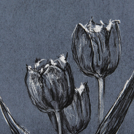 Botanical sketches I (Blue) by Mercana Studio Hand Embellished Framed Art Print Matted under Glass by Mercana at Eve Furniture