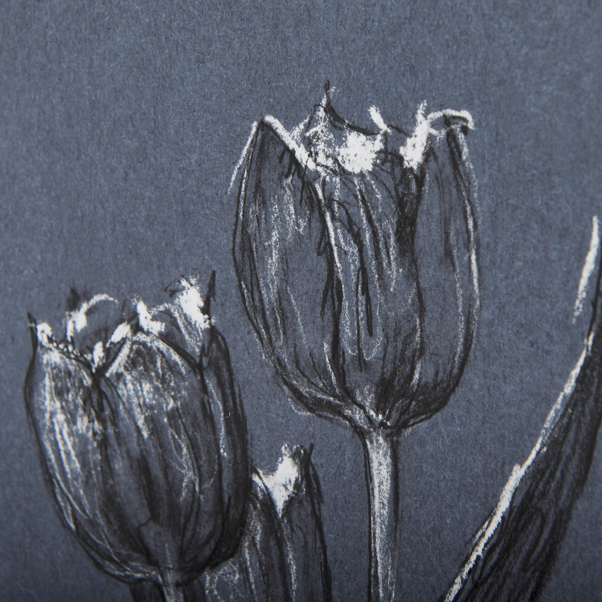 Botanical sketches I (Blue) by Mercana Studio Hand Embellished Framed Art Print Matted under Glass by Mercana at Eve Furniture