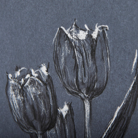 Botanical sketches I (Blue) by Mercana Studio Hand Embellished Framed Art Print Matted under Glass by Mercana at Eve Furniture