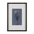 Botanical sketches I (Blue) by Mercana Studio Hand Embellished Framed Art Print Matted under Glass by Mercana at Eve Furniture