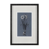 Botanical sketches I (Blue) by Mercana Studio Hand Embellished Framed Art Print Matted under Glass by Mercana at Eve Furniture