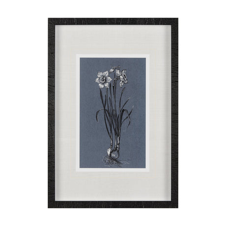 Botanical sketches I (Blue) by Mercana Studio Hand Embellished Framed Art Print Matted under Glass by Mercana at Eve Furniture