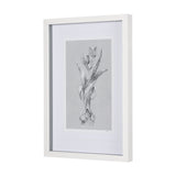 Botanical sketches I (Grey) by Mercana Studio Hand Embellished Framed Art Print Matted under Glass by Mercana at Eve Furniture